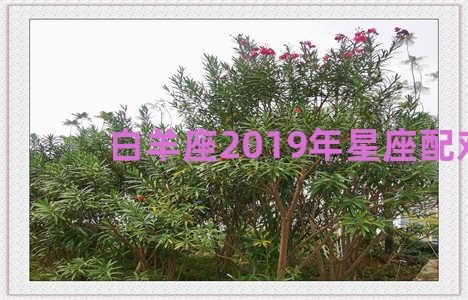 白羊座2019年星座配对